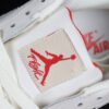 AIR JORDAN 4 RETRO SPLATTER SILT