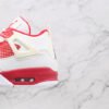 AIR JORDAN 4 RETRO ALTERNATE 89
