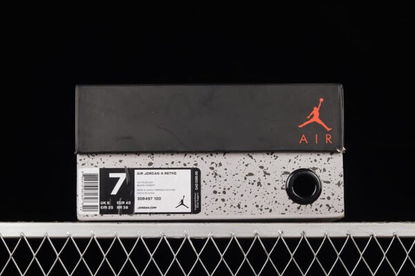 AIR JORDAN 4 RETRO PURE MONEY 2017