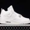 AIR JORDAN 4 RETRO PURE MONEY 2017