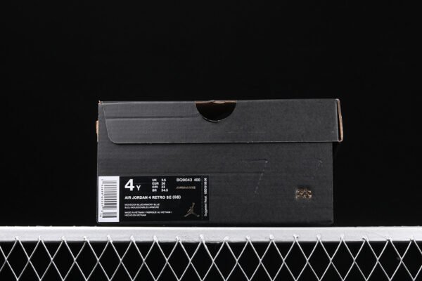 AIR JORDAN 4 SE GS MONSOON BLUE_ARMORY BLUE-MELON TINT