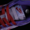DUNK LOW RETRO VOL 1 SP DAYBREAK_BARN_PLUM