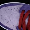 DUNK LOW RETRO VOL 1 SP DAYBREAK_BARN_PLUM