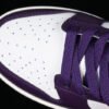 DUNK LOW CHENILLE SWOOSH SAIL_NEPTUNE GREEN_GRAND PURPLE_GRAND PURPLE