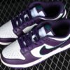 DUNK LOW CHENILLE SWOOSH SAIL_NEPTUNE GREEN_GRAND PURPLE_GRAND PURPLE