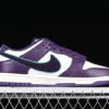 DUNK LOW CHENILLE SWOOSH SAIL_NEPTUNE GREEN_GRAND PURPLE_GRAND PURPLE