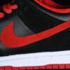 DUNK LOW PRO SB JPACK BLACK_UNIVERSITY RED-BLACK