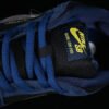 DUNK LOW PRO SB MIDNIGHT NAVY_BLACK