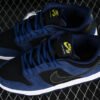 DUNK LOW PRO SB MIDNIGHT NAVY_BLACK