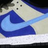 DUNK LOW SB ACG CELADON CELADON_COAST_CONCORD