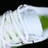 DUNK LOW NEXT NATURE WHITE_GREEN