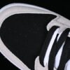 DUNK LOW SB BLACK_DUST COLOR