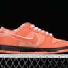 CONCEPTS X SB DUNK LOW ORANGE LOBSTER ORANGE_WHITE_BLACK