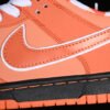 CONCEPTS X SB DUNK LOW ORANGE LOBSTER ORANGE_WHITE_BLACK