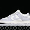 DUNK LOW NEEDLEWORK SAIL_TAWNY_METALLIC SILVER_PHOTON DUST