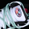 DUNK LOW MULTI COLOR WHITE_BLACK_GREEN