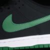 DUNK LOW PRO SB BLACK_PINE GREEN-WHITE