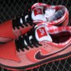 DUNK LOW PREMIUM SB DARK CHOCOLATE_MTT SILVER-LNN
