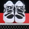 DUNK LOW ESS WHITE PAISLEY WHITE_GREY FOG_BLACK