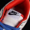 DUNK LOW MULTI-COLOR
