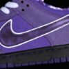 CONCEPTS X DUNK LOW SB PURPLE LOBSTER VOLTAGE PURPLE_COURT PURPLE-VOLTAGE PURPLE
