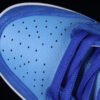 DUNK LOW PRO SB FRUITY PACK RACER BLUE_LASER BLUE_UNIVERSITY BLUE_WHITE