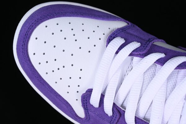DUNK LOW SB COURT PURPLE_COURT PURPLE_WHITE_GUM LIGHT BROWN