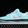 CONCEPTS X SB DUNK LOW BLUE_SLIVER